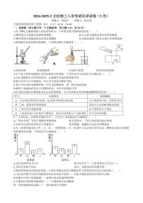 湖南省长沙市湘一立信中学2024-2025学年九年级下学期入学考试化学试卷
