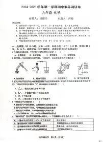 广东深圳宝安松岗中学2024-2025学年九年级上学期期中素养调研卷化学试卷