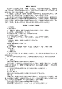 初中化学人教版（2024）九年级下册（2024）课题3 常见的盐教案