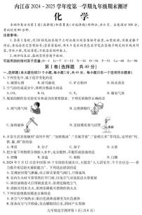 四川省内江市2024-2025学年九年级上学期期末检测化学试题