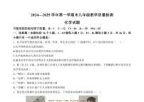 2024～2025学年山东省德州市宁津县九年级上期末考试化学试卷(含答案)