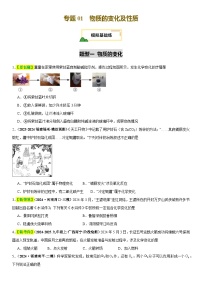 2025年中考化学一轮复习讲练测  专题01 物质的变化和性质（练习）