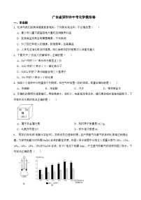 2025年广东省深圳市中考化学模拟卷附答案
