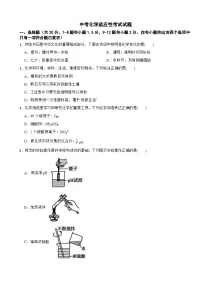 广东省深圳市福田区2025年中考化学适应性考试试题附答案