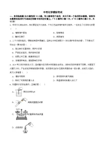 江西省新余市2025年中考化学模拟考试附答案