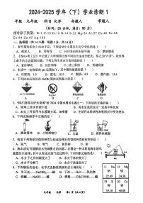 河南省实验中学2024-2025学年九年级下学期开学考化学试题及答案