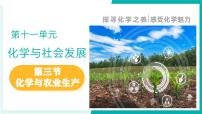鲁教版（2024）九年级下册（2024）第三节 化学与农业生产教学ppt课件