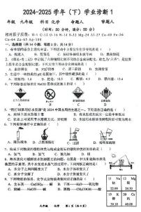 河南省实验中学2024-2025学年九年级下学习开学考试化学试卷和答案