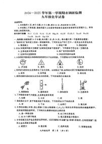 河南省驻马店市西平县第一初级中学2024-2025学年九年级下学期开学考试化学试题