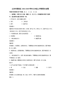 北京市朝阳区2024-2025学年九年级(上)期末化学试卷（解析版）