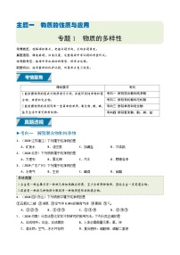 专题01 物质的多样性（讲练）--2025年中考化学二轮复习答题技巧（全国通用）