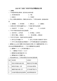 2025年广东省广州市中考化学模拟练习卷