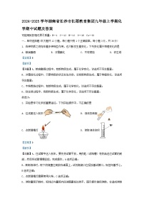 2024-2025学年湖南省长沙市长郡教育集团九年级上学期化学期中试题及答案