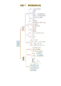 2025年中考化学一轮复习   专题05 碳和碳的氧化物（讲义）