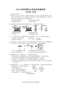 2024～2025学年四川省达州市通川区九年级上期末月考化学试卷(含答案)