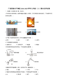 广西贵港市平南县2024-2025学年九年级（上）期末化学试卷