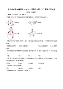 陕西省咸阳市秦都区2024-2025学年九年级（上）期末化学试卷-