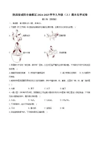 陕西省咸阳市秦都区2024-2025学年九年级（上）期末化学试卷-