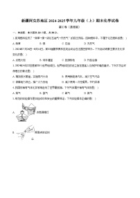 新疆阿克苏地区2024-2025学年九年级（上）期末化学试卷