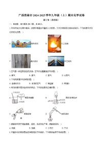 广西贵港市2024-2025学年九年级（上）期末化学试卷