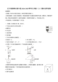 辽宁省铁岭市西丰县2024-2025学年九年级（上）期末化学试卷