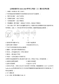 山东省滨州市2024-2025学年九年级（上）期末化学试卷