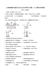 山东省烟台市经开区2024-2025学年九年级（上）期末化学试卷