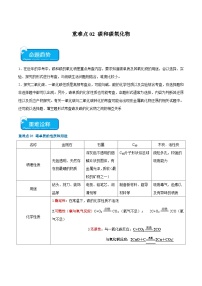 中考化学二轮复习核心考点训练重难点02 碳和碳氧化物（2份，原卷版+解析版）