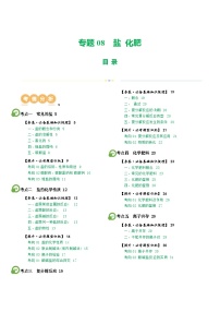 中考化学一轮复习专题08 盐 化肥（讲义）（2份，原卷版+解析版）