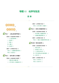 中考化学一轮复习专题12 化学与生活（讲义）（2份，原卷版+解析版）