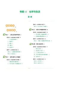 中考化学一轮复习专题12 化学与生活（讲义）（2份，原卷版+解析版）
