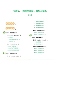 中考化学一轮复习专题15 物质的检验、鉴别与除杂（讲义）（2份，原卷版+解析版）