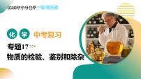 2025年中考化学一轮复习 专题17 物质的检验、鉴别和除杂 课件+练习+讲义
