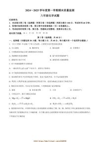 2024～2025学年山东省泰安市宁阳县八年级上期末化学试卷(含答案)