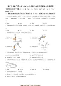 2024～2025学年重庆市鲁能巴蜀中学九年级上期末化学试卷(含答案)