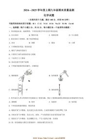 2024～2025年重庆市南岸区九年级上期末化学试卷(含答案)