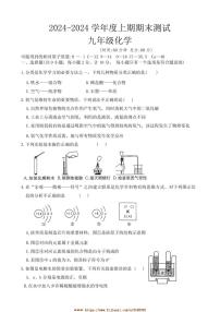 2024～2025学年河南省周口市商水县大武乡二中等校九年级上1月期末考试化学试卷(含答案)