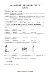 2024～2025学年河北省唐山市滦南县九年级上期末化学试卷(含答案)