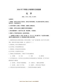 2024～2025学年湖南省益阳市沅江市两校联考(月考)九年级上1月期末考试化学试卷(含答案)