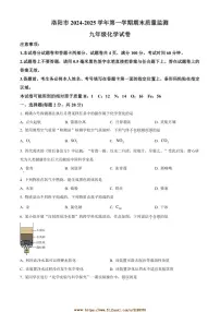 2024～2025学年河南省洛阳市九年级上期末化学试卷(含答案)