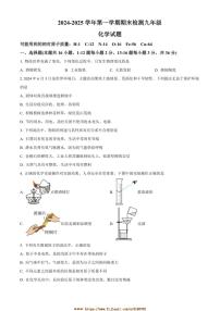 2024～2025学年山东省德州市德城区九年级上期末化学试卷(含答案)