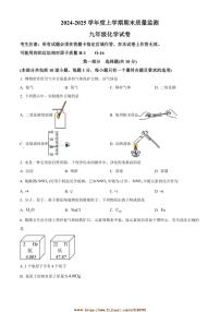 2024~2025学年辽宁省辽阳市九年级上期末化学试卷(含答案)