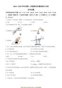 2024～2025学年山东省德州市乐陵市九年级上期末化学试卷(含答案)