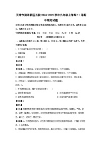 天津市滨海新区五校2024-2025学年九年级(上)11月期中联考化学试卷（解析版）
