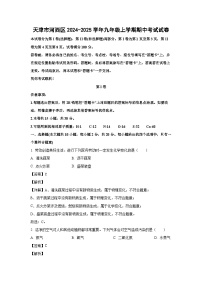 天津市河西区2024-2025学年九年级(上)期中考试化学试卷（解析版）
