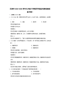 天津市2024-2025学年九年级(下)开学适应性模拟测试练习卷1化学试卷（解析版）