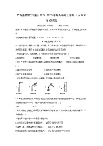 广西崇左市宁明县2024-2025学年九年级(上)1月期末考试化学试卷