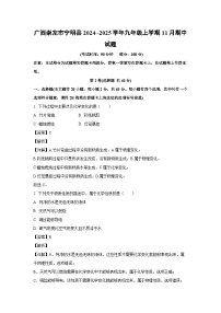 广西崇左市宁明县2024--2025学年九年级(上)11月期中化学试卷（解析版）