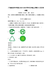 广西崇左市宁明县2024-2025学年九年级(上)12月月考化学试卷（解析版）