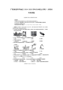 广西贵港市平南县2024-2025学年九年级(上)1月期末考试（扫描版）化学试卷